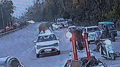 elephant-came-on-the-toll-plaza_1681110215.webp.webp