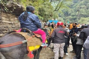 kedarnath-ghaoda-khchchar.jpg