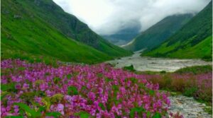 Gallery_20250601_113056.jpg