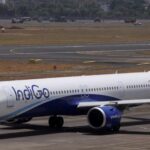 indigo.jpg
