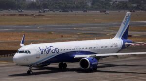 indigo.jpg