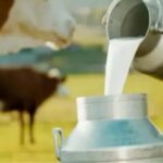 milk.jpg