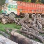 truk-with-saal-woodan.jpg