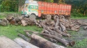 truk-with-saal-woodan.jpg