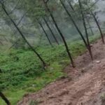 tharali-sagwada-village.jpg