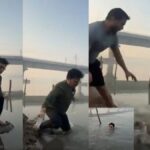 selfy-BJP-leader-in-delhi-MLA-fell-down-in-yamuna.jpg