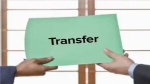 transfar.jpg