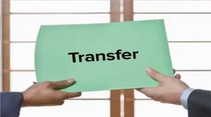 transfar.jpg