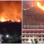 forest-fire-at-cenral-sanskrit-univercity.jpg