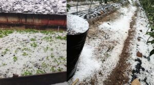 olavirishti-in-uttarakhand-farmar-loss.jpg