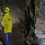 cheedvasa-root-blaock.jpg